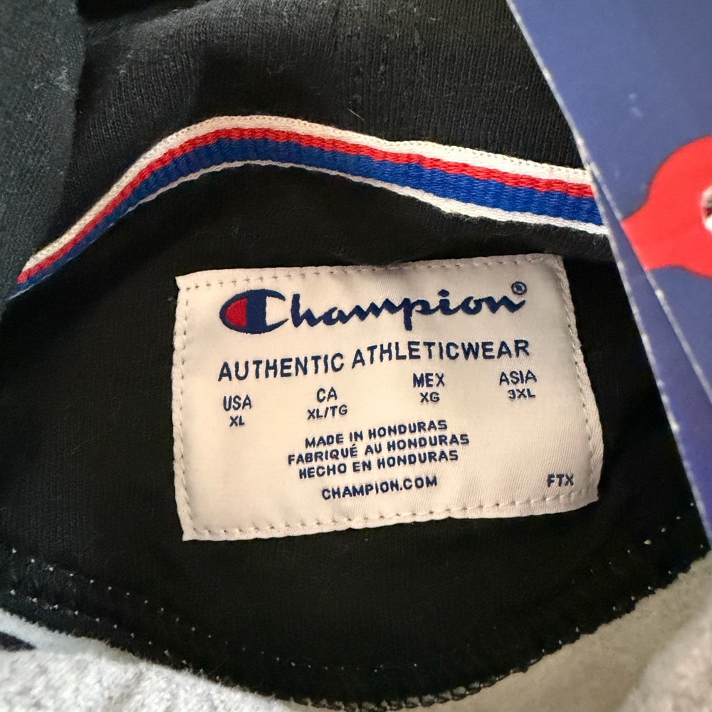 Champion Men's Palm Graphic Powerblend Hoodie, Heather Gray, Size XL - Picture 6 of 6